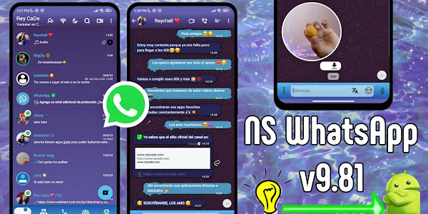 NS WhatsApp Actualizado v9.81