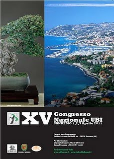 15º Congresso Nazionale UBI 2011