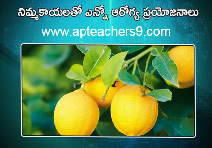 There are many health benefits with lemons నిమ్మకాయలతో ఎన్నో ఆరోగ్య ప్రయోజనాలు 2022  benefits of squeezing lemon on food what happens when you drink lemon water for 7 days disadvantages of drinking lemon water daily side effects of lemon for female what are the benefits of drinking lemon water benefits of lemon lemon side effects lemon benefits and side effects coconut water benefits for female benefits of drinking coconut water daily coconut water side effects drinking coconut water for 7 days benefits of coconut water for skin what happens if i drink coconut water everyday benefits of drinking coconut water empty stomach Disadvantages of storing water in copper vessel How much copper water to drink per day Copper water bottle poisoning Copper water benefits for skin whitening Pros and cons of drinking copper water Benefits of copper water Copper water Bottle Benefits of copper water Ayurveda 10 reasons to wake up in the morning 10 benefits of early rising what is the best time to wake up early in the morning why should we wake up early in the morning benefits of waking up early in the morning essay benefits of waking up before sunrise disadvantages of waking up early scientific benefits of waking up early fermented rice side effects pazhankanji side effects is fermented rice water acidic or alkaline fermented rice for weight gain fermented rice benefits benefits of eating rice in the morning fermented rice with curd benefits fermented rice for acid reflux taati munjalu in english taati munjalu season ice apple benefits taati munjalu near me taati munjalu during pregnancy taati munjalu in hindi taati munjalu in telugu ice apple benefits and side effects how to lose weight in 7 days fastest way to lose weight for woman how to lose weight naturally how to lose weight fast weight loss tips extreme weight loss methods weight loss tips at home how to lose weight in a week skin care tips in summer at home summer night skin care routine top 10 skin care tips for summer summer skin care routine summer skin care routine for teenage girl skin care tips for summer in india summer skin care products how to take care of oily skin in summer naturally why do mosquitoes bite me and not my husband how to be less attractive to mosquitoes mosquitoes don't bite cancer why do mosquitoes like type o blood why do i get so many mosquito bites on my legs are mosquitoes attracted to carbon dioxide why are mosquitoes attracted to me why do mosquitoes bite ankles pumpkin benefits side effects benefits of pumpkin soup is pumpkin good for digestion pumpkin benefits for skin benefits of green pumpkin is pumpkin good for weight loss pumpkin seeds benefits for female how to eat pumpkin benefits of sugarcane sexually sugarcane juice benefits for female sugarcane juice benefits and disadvantages benefits of sugarcane juice sugarcane juice is heat or cold for body benefits of sugarcane to woman sugarcane juice disadvantages benefits of sugarcane juice for weight loss side effects of tea on bones is green tea harmful for bones what kind of tea is good for osteoporosis is black tea good for bones tea and calcium absorption tea and osteoporosis is ginger tea good for osteoporosis green tea and calcium absorption spiritual benefits of walking barefoot 5 health benefits of walking barefoot benefits of walking barefoot on earth disadvantages of walking barefoot benefits of walking barefoot at home walking barefoot meaning benefits of walking barefoot on grass in the morning effects of walking barefoot on cold floor why hot food items should not be packed in polythene bags effects of eating high temperature food hot food in polythene bags 2 ways to never cool food hot food in plastic bags can cause cancer what happens if you drink hot and cold at the same time proper cooling methods for food what are three safe methods for cooling food? benefits of eating porridge everyday porridge benefits for skin benefits of eating porridge in the morning i ate oatmeal every morning for a month-here's what happened disadvantages of eating oats benefits of porridge for weight loss benefits of oats with milk benefits of eating porridge at night is taking a bath late at night dangerous bathing at night benefits taking a bath at night can cause anemia late night shower can cause death best time to bath at night advantages and disadvantages of taking a bath at night benefits of warm bath at night taking a bath at night is not good for your health brainly describe how we can keep ourselves fit and healthy simple health tips 10 tips for good health 100 health tips natural health tips health tips for adults health tips 2021 health tips of the day simple health tips for everyday living healthy tips simple health tips for students 100 simple health tips healthy lifestyle tips health tip of the week simple health tips for everyone simple health tips for everyday living 10 tips for a healthy lifestyle pdf 20 ways to stay healthy 5-minute health tips 100 health tips in hindi simple health tips for everyone 100 health tips pdf 100 health tips in tamil 5 tips to improve health natural health tips for weight loss natural health tips in hindi simple health tips for everyday living 100 health tips in hindi health in hindi daily health tips 10 tips for good health how to keep healthy body 20 health tips for 2021 health tips 2022 mental health tips 2021 heart health tips 2021 health and wellness tips 2021 health tips of the day for students fun health tips of the day mental health tips of the day healthy lifestyle tips for students health tips for women simple health tips 10 tips for good health 100 health tips healthy tips in hindi natural health tips health tips for students simple health tips for everyday living health tip of the week healthy tips for school students health tips for primary school students health tips for students pdf daily health tips for school students health tips for students during online classes mental health tips for students simple health tips for everyone health tips for covid-19 healthy lifestyle tips for students 10 tips for a healthy lifestyle healthy lifestyle facts healthy tips 10 tips for good health simple health tips health tips 2021 health tips natural health tips 100 health tips health tips for students simple health tips for everyday living 6 basic rules for good health 10 ways to keep your body healthy health tips for students simple health tips for everyone 5 steps to a healthy lifestyle maintaining a healthy lifestyle healthy lifestyle guidelines includes simple health tips for everyday living healthy lifestyle tips for students healthy lifestyle examples 10 ways to stay healthy 100 health tips 5 ways to stay healthy 10 ways to stay healthy and fit simple health tips simple health tips for everyday living health tips for students health tips in hindi beauty tips health tips for women health tips bangla health tips for young ladies 10 best health tips female reproductive health tips women's day health tips health tips in kannada women's health tips for heart, mind and body women's health tips for losing weight healthy woman body beauty tips at home beauty tips natural beauty tips for face beauty tips for girls beauty tips for skin beauty tips of the day top 10 beauty tips beauty tips hindi health tips for school students health tips for students during exams five ways of maintaining good health 10 ways to stay healthy at home ways to keep fit and healthy 6 tips to stay fit and healthy how to stay fit and healthy at home 20 ways to stay healthy ways to keep fit and healthy essay 5 ways to stay healthy essay 10 ways to stay healthy at home write five points to keep yourself healthy 5 ways to stay healthy during quarantine 10 tips for a healthy lifestyle healthy lifestyle essay unhealthy lifestyle examples 5 steps to a healthy lifestyle healthy lifestyle article for students talk about healthy lifestyle healthy lifestyle benefits healthy lifestyle for students in school healthy tips for school students importance of healthy lifestyle for students health tips for students during online classes health tips for students pdf health and wellness for students healthy lifestyle for students essay healthy lifestyle article for students 10 ways to stay healthy and fit ways to keep fit and healthy essay 6 tips to stay fit and healthy how to stay fit and healthy at home what are the best ways for students to stay fit and healthy how to keep body fit and strong on the basis of the picture given below,  how to be fit in 1 week write 10 rules for good health golden rules for good health health rules most important things you can do for your health how to keep your body healthy and strong five ways of maintaining good health mental health tips 2022 top 10 tips to maintain your mental health mental health tips for students self-care tips for mental health mental health 2022 fun activities to improve mental health 10 ways to prevent mental illness how to be mentally healthy and happy world heart day theme 2021 world heart day 2021 health tips news world heart day wikipedia world heart day 2020 world heart day pictures world heart day theme 2020 happy heart day 5 ways to prevent covid-19 best food for covid-19 recovery 10 ways to prevent covid-19 covid-19 health and safety protocols precautions to be taken for covid-19 covid-19 diet plan pdf safety measures after covid-19 precautions for covid-19 patient at home how to keep reproductive system healthy 10 ways in keeping the reproductive organs clean and healthy why is it important to keep your reproductive system healthy how to take care of your reproductive system male what are the proper ways of taking care of the female reproductive organs male ways of taking care of reproductive system ppt taking care of reproductive system grade 5 prevention of reproductive system diseases proper ways of taking care of the reproductive organs ways of taking care of reproductive system ppt how to take care of reproductive system male what are the proper ways of taking care of the female reproductive organs care of male and female reproductive organs? why is it important to take care of the reproductive organs the following are health habits to keep the reproductive organs healthy which one is care of male and female reproductive organs? what are the proper ways of taking care of the female reproductive organs ways of taking care of reproductive system ppt ways to take care of your reproductive system why is it important to take care of the reproductive organs taking care of reproductive system grade 5 how to take care of your reproductive system poster what are the proper ways of taking care of the female reproductive organs taking care of reproductive system grade 5 what are the proper ways of taking care of the male reproductive organs care of male and female reproductive organs? female reproductive system - ppt presentation female reproductive system ppt pdf reproductive system ppt anatomy and physiology reproductive system ppt grade 5 talk about healthy lifestyle cue card importance of healthy lifestyle importance of healthy lifestyle speech what is healthy lifestyle essay healthy lifestyle habits my healthy lifestyle healthy lifestyle essay 100 words healthy lifestyle short essay healthy lifestyle essay 150 words healthy lifestyle essay pdf benefits of a healthy lifestyle essay healthy lifestyle essay 500 words healthy lifestyle essay 250 words  precautions to be taken during winter season precautions to be taken for cold cold weather precautions for home how to stay healthy during winter season how to protect your body in winter season what things should we keep in mind to stay healthy in the winter  safety tips for winter season in india how to take care of yourself during winter seasonal diseases list seasonal diseases in india seasonal diseases and precautions seasonal diseases in telugu seasonal diseases in india pdf seasonal diseases pdf 4 seasonal diseases rainy season diseases and prevention 10 things not to do after eating i ate too much and now i want to vomit how to ease your stomach after eating too much how to digest faster after a heavy meal what to do after overeating at night how to detox after eating too much i ate too much today will i gain weight i don't feel good after i eat calcium fruits for bones fruits for bone strength how to increase bone strength naturally bone strengthening foods how to increase bone calcium best fruit juice for bones calcium-rich foods for bones vitamins for strong bones and joints black pepper uses and benefits how much black pepper per day benefits of eating black pepper empty stomach black pepper with hot water benefits side effects of black pepper benefits of black pepper and honey pepper benefits turmeric with black pepper benefits how to protect eyes from mobile screen naturally how to protect eyes from mobile screen during online classes glasses to protect eyes from mobile screen how to protect eyes from mobile and computer 5 ways to protect your eyes best eye protection mobile phone glasses to protect eyes from mobile screen flipkart how to protect eyes from computer screen can you die from eating too many almonds how many is too many almonds i eat 100 almonds a day symptoms of eating too many almonds almond skin dangers how many almonds should i eat a day why are roasted almonds bad for you how many almonds to eat per day for good skin amla for skin whitening amla for skin pigmentation how to use amla for skin can i apply amla juice on face overnight how to use amla powder for skin whitening amla face pack for pigmentation how to make amla juice for skin best amla juice for skin best n95 mask for covid n95 mask with filter n95 mask reusable best mask for covid where to buy n95 mask n95 mask price 3m n95 mask kn95 vs n95 how many dates to eat per day dates benefits sexually dates benefits for sperm benefits of dates for men benefits of khajoor for skin dates benefits for skin is dates good for cold and cough benefits of dates for womens how to cook mulberry leaves mulberry benefits mulberry leaves benefits for hair mulberry benefits for skin when to harvest mulberry leaves mulberry leaf extract benefits mulberry leaf tea benefits mulberry fruit side effects are recovered persons with persistent positive test of covid-19 infectious to others? if someone in your house has covid will you get it do i still need to quarantine for 14 days if i was around someone who has covid-19? how long will you test positive for covid after recovery what do i do if i’ve been exposed to someone who tested positive for covid-19? how long does coronavirus last in your system how long should i stay in home isolation if i have the coronavirus disease? positive covid test after recovery how to make coriander water can we drink coriander water at night how to make coriander water for weight loss coriander seed water side effects how to make coriander seeds water how to make coriander seeds water for thyroid coriander water for thyroid coriander leaves boiled water benefits 10 points on harmful effects of plastic 5 harmful effects of plastic harmful effects of plastic on environment harmful effects of plastic on environment in points how is plastic harmful to humans harmful effects of plastic on environment pdf single-use plastic effects on environment brinjal benefits and side effects disadvantages of brinjal brinjal benefits for skin brinjal benefits ayurveda brinjal benefits for diabetes uses of brinjal green brinjal benefits brinjal vitamins 10 ways to keep your heart healthy 5 ways to keep your heart healthy 13 rules for a healthy heart 20 ways to keep your heart healthy how to keep heart-healthy and strong heart-healthy foods heart-healthy lifestyle healthy heart symptoms daily massage with mustard oil mustard oil disadvantages benefits of mustard oil for skin why mustard oil is not banned in india benefits of mustard oil massage on feet benefits of mustard oil in cooking mustard oil massage benefits mustard oil benefits for brain side effects of mint leaves lungs cleaning treatment benefits of drinking mint water in morning mint leaves steam for face lungs cleaning treatment for smokers benefits of mint leaves how to use ginger for lungs how to clean lungs in 3 days Carrot juice benefits in telugu 17 benefits of mustard seed 5 uses of mustard 10 uses of mustard how much mustard should i eat a day mustard seeds side effects benefits of chewing mustard seed dijon mustard health benefits is mustard good for your stomach Benefits of Vaseline on face Vaseline on face overnight before and after Vaseline petroleum jelly for skin whitening 100 uses for Vaseline Does Blue Seal Vaseline lighten the skin Vaseline uses for skin 19 unusual uses for Vaseline Effect of petroleum jelly on lips barley pests and diseases how to use barley for diabetes diseases of barley ppt how to use barley powder barley benefits and side effects barley disease control barley diseases integrated pest management of barley how to sleep better at night naturally good sleep habits food for good sleep tips on how to sleep through the night how to get a good night sleep and wake up refreshed how to sleep fast in 5 minutes how to sleep through the night without waking up how to sleep peacefully without thinking how to use turmeric to boost immune system turmeric immune booster recipe turmeric immune booster shot raw turmeric vs powder 10 serious side effects of turmeric raw turmeric powder best time to eat raw turmeric raw turmeric benefits for liver best antibiotic for cough and cold name of antibiotics for cough and cold best medicine for cold and cough best antibiotic for cold and cough for child best tablet for cough and cold in india best cold medicine for runny nose cold and cough medicine for adults best cold and flu medicine for adults moringa leaf powder benefits what happens when you drink moringa everyday? side effects of moringa list of 300 diseases moringa cures pdf how to use moringa leaves what sickness can moringa cure how long does it take for moringa to start working can moringa cure chest pain how to use aloe vera to lose weight rubbing aloe vera on stomach how to prepare aloe vera juice for weight loss best time to drink aloe vera juice for weight loss how to use forever aloe vera gel for weight loss aloe vera juice weight loss stories how much aloe vera juice to drink daily for weight loss benefits of eating oranges everyday benefits of eating oranges for skin benefits of eating orange at night orange benefits and side effects benefits of eating orange in empty stomach orange benefits for men how many oranges a day to lose weight how many oranges should i eat a day is orthostatic hypotension dangerous orthostatic hypotension symptoms causes of orthostatic hypotension orthostatic hypotension in 20s orthostatic hypotension treatment orthostatic hypotension test how to prevent orthostatic hypotension orthostatic hypotension treatment in elderly what will happen if we drink dirty water for class 1 what are the diseases associated with water? which water is safe for drinking dangers of tap water 5 dangers of drinking bad water what happens if you drink contaminated water what to do if you drink contaminated water 5 ways to make water safe for drinking how long before bed should you turn off electronics side effects of using phone at night does screen time affect sleep in adults sleeping with phone near head why you shouldn't use your phone before bed screen time before bed research adults screen time doesn't affect sleep using phone at night bad for eyes how many tulsi leaves should be eaten in a day how to cure high blood pressure in 3 minutes tulsi leaves side effects tricks to lower blood pressure instantly what happens if we eat tulsi leaves daily high blood pressure foods to avoid what to drink to lower blood pressure quickly how to consume tulsi leaves why am i sleeping too much all of a sudden i sleep 12 hours a day what is wrong with me oversleeping symptoms causes of oversleeping how to recover from sleeping too much oversleeping effects is 9 hours of sleep too much why am i suddenly sleeping for 10 hours side effects of eating raw curry leaves how many curry leaves to eat per day benefits of curry leaves for hair curry leaves health benefits benefits of curry leaves boiled water curry leaves benefits and side effects how to eat curry leaves curry leaves benefits for uterus side effects of drinking cold water symptoms of drinking too much water does drinking cold water cause cold drinking cold water in the morning on an empty stomach does drinking cold water increase weight disadvantages of drinking cold water in the morning is drinking cold water bad for your heart effect of cold water on bones food for strong bones and muscles indian food for strong bones and muscles list five foods you can eat to build strong, healthy bones. medicine for strong bones and joints 2 factors that keep bones healthy Top 10 health benefits of dates Health benefits of dates Dry dates benefits for male Soaked dates benefits Dry dates benefits for female silver water benefits how much colloidal silver to purify water silver in water purification silver in drinking water health benefit of drinking hard water what is silver water silver ion water purifier colloidal silver poisoning how i cured my lower back pain at home how to relieve back pain fast how to cure back pain fast at home back pain home remedies drink how to cure upper back pain fast at home female lower back pain treatment what is the best medicine for lower back pain? one stretch to relieve back pain side effects of drinking salt water why is drinking salt water harmful benefits of drinking warm water with salt in the morning benefits of drinking salt water salt water flush didn't make me poop himalayan salt detox side effects when to eat after salt water flush 10 uses of salt water side effects of carbonated drinks harmful effects of soft drinks wikipedia disadvantages of soft drinks in points drinking too much pepsi symptoms drinking too much coke side effects effects of carbonated drinks on the body side effects of drinking coca-cola everyday harmful effects of soft drinks on human body pdf what happens if you don't breastfeed your baby baby feeding mother milk breastfeeding mother 14 risks of formula feeding is bottle feeding safe for newborn baby negative effects of formula feeding are formula-fed babies healthy breastfeeding vs bottle feeding breast milk what is the best cream for deep wrinkles around the mouth best anti aging cream 2021 scientifically proven anti aging products best anti aging cream for 40s what is the best wrinkle cream on the market? best anti aging cream for 30s best treatment for wrinkles on face best anti aging skin care products for 50s carbonated soft drinks market demand for soft drinks trends in carbonated soft drink industry carbonated soft drink market in india cold drink sales statistics soft drink sales 2021 soda industry market share of soft drinks in india 2021 how much tomato to eat per day 10 benefits of tomato eating tomato everyday benefits benefits of eating raw tomatoes in the morning disadvantages of eating tomatoes why are tomatoes bad for your gut eating tomato everyday for skin disadvantages of eating raw tomatoes green peas benefits for skin green peas benefits for weight loss green peas side effects green peas benefits for hair benefits of peas and carrots green peas calories green peas protein per 100g dry peas benefits benefits of walnuts for females benefits of walnuts for skin benefits of walnuts for male 15 proven health benefits of walnuts benefits of almonds how many walnuts to eat per day walnut benefits for sperm soaked walnuts benefits 5 health benefits of walking barefoot spiritual benefits of walking barefoot dangers of walking barefoot benefits of walking barefoot at home disadvantages of walking barefoot is walking barefoot at home bad benefits of walking barefoot on grass in the morning walking barefoot meaning how to cure asthma forever how to prevent asthma how to prevent asthma attacks at night asthma prevention diet what causes asthma how to stop asthmatic cough what is the best treatment for asthma how to avoid asthma triggers at home amaranth leaves side effects thotakura juice benefits thotakura benefits in telugu amaranth benefits amaranth benefits for skin amaranth benefits for hair red amaranth leaves side effects amaranth leaves iron content skin diseases list with pictures 5 ways of preventing skin diseases 10 skin diseases blood test for hair loss female symptoms of skin diseases common skin diseases hair loss after covid treatment and vitamins what do dermatologists prescribe for hair loss pomegranate benefits for female benefits of pomegranate for skin benefits of pomegranate seeds pomegranate benefits for men benefits of pomegranate juice how much pomegranate juice per day pomegranate juice side effects benefits of pomegranate leaves disadvantages of jaggery 33 health benefits of jaggery how much jaggery to eat everyday benefits of jaggery water vitamins in jaggery dark brown jaggery benefits jaggery benefits for sperm jaggery benefits for male                                                                                                                                                                                                mini oil mill project cost cooking oil manufacturing plant cost in india small oil mill plant cost in india oil mill project cost in india cooking oil manufacturing business plan pdf oil mill business profit how to start cooking oil business in india oil mill business plan in india