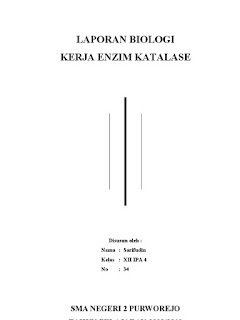   laporan praktikum enzim katalase, praktikum biologi enzim katalase ekstrak hati, cara kerja enzim katalase pada hati, laporan praktikum enzim katalase pada hati dan jantung, laporan praktikum biologi enzim katalase menggunakan hati ayam, dasar teori enzim katalase, laporan enzim katalase pada hati ayam, laporan praktikum enzim katalase pada hati dan jantung ayam, laporan pengaruh enzim katalase pada hati ayam