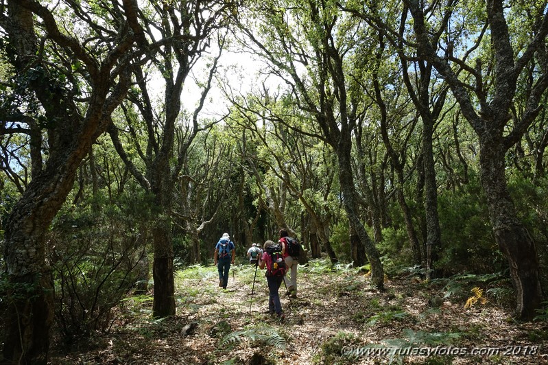 Río de la Miel - Sierra del Bujeo