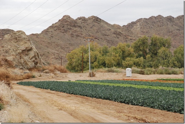 01-15-12 C McPhaul's Bridge Yuma 005