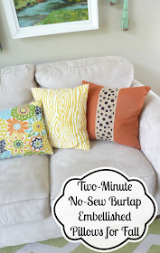 Embellished Fall Pillows