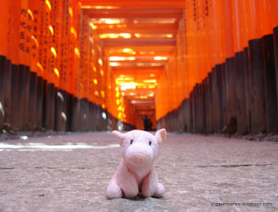 torii gates in fushimi-inari kyoto japan