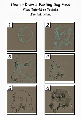 How to Draw a Realistic Dog Panting Pet Sketch