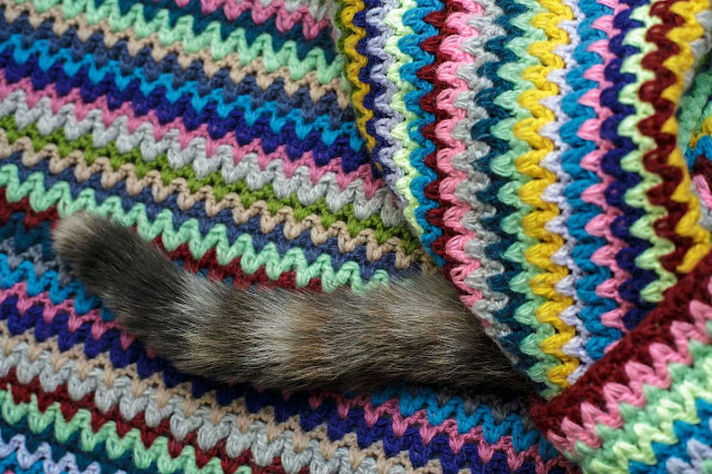 The tail of a cat is all that sticks out from under a colourful crochet blanket