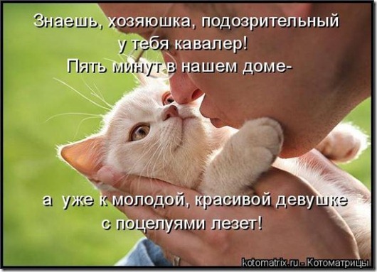 clip_image003