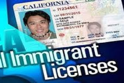 When the Illegal Immigrant Has a License and Auto Insurance