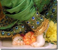 [Krishna's lotus feet]