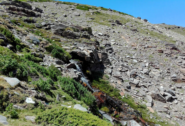 Picón,Sierra Nevada