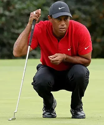 Tiger Woods Biography