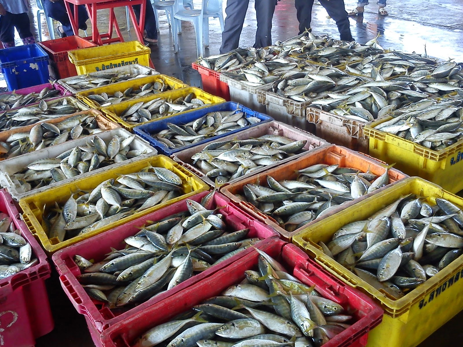 Pembekal dan Pemborong Anda Pembekal Barang  Mentah 