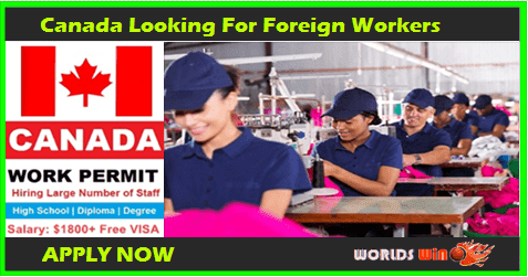 Canada Looking for Foreign Workers - Apply Now