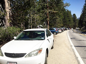 McGurk Meadow trail parking area