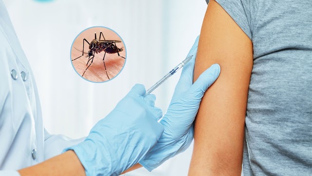 ANMAT aprobó la vacuna contra el dengue en Argentina
