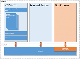 NT Process, Minimal Process, Pico Proess