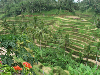 Ubud Pulau Bali