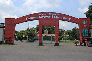 Tempat Wisata Taman Satwa Taru Jurug Kota Solo