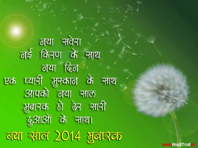 Happy New Year Photos 2014 