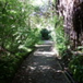 View album