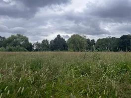 Norbury Park