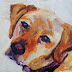 Best Buddy Dog Portrait in Acrylic