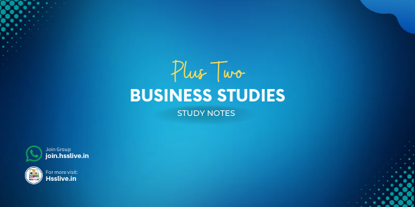 plus two business studies