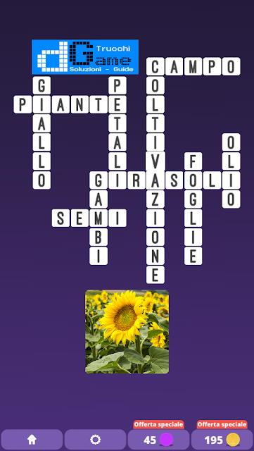 Soluzioni One Clue Crossword livello 12 schemi 13 (Cruciverba illustrato)  | Parole e foto