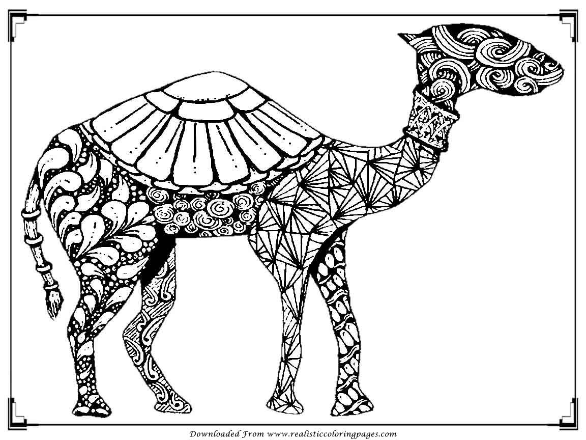 Download New Camel Coloring Pages to Print | Top Free Printable Coloring Pages for All