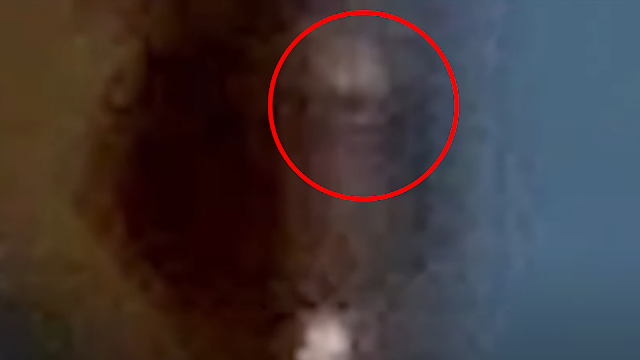 It's definitely got a look of an Alien inside of the UFO pod.