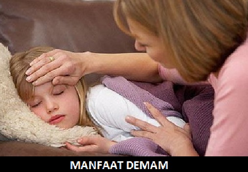 manfaat-demam