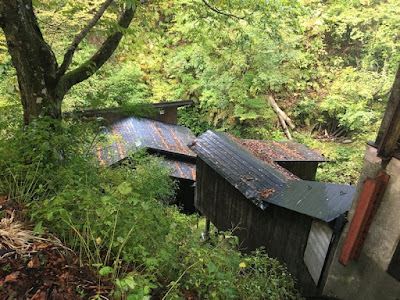 したの湯の屋根