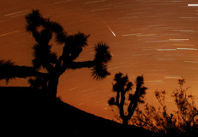 Meteor Shower November 2009 - Leonid Meteor Shower