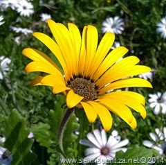 WP_20140913_088