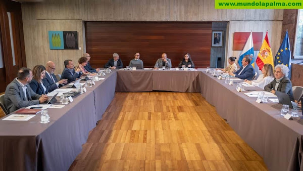 El Gobierno fortalece su alianza con cabildos y ayuntamientos para impulsar la Agenda Canaria 2030