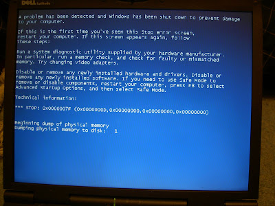 Computer Screen Blue on Dell Computer Problems  Pictures Of Dell Blue Screen    Dumping