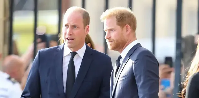 Prince William Criticized Over Past Pressure on Harry Amid Push for Modern Monarchy