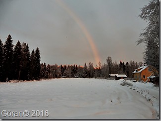 DSCN1413
