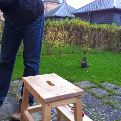 stołeczek stołek stool