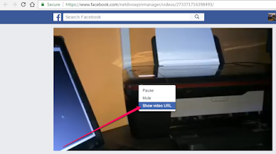 show video url facebook