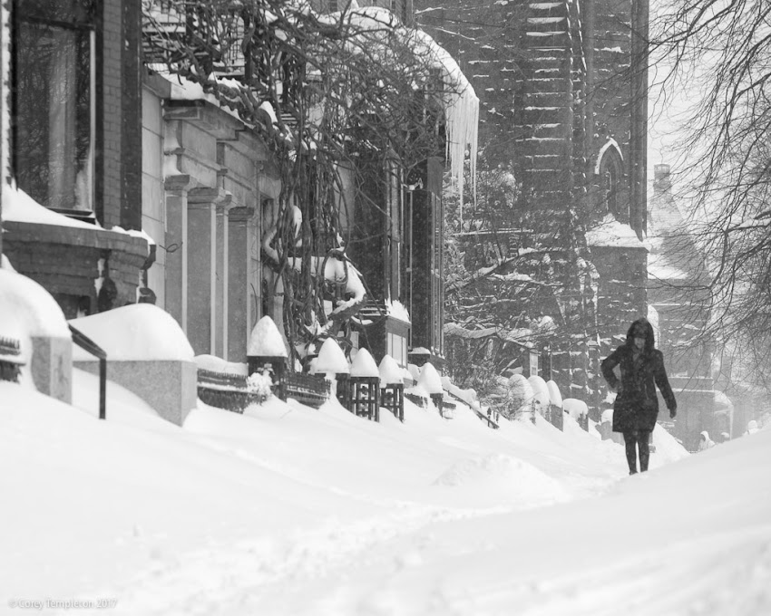 Portland, Maine USA February 2017 photo by Corey Templeton during a winter snow storm, a classic shot down State Street from Longfellow Square.