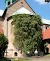 The Thousand-Year Rose of Hildesheim Cathedral