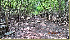 IMG_0077