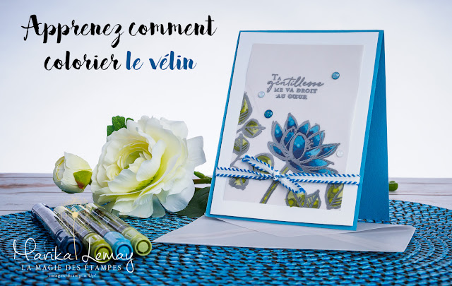 carte vélin vellum Remarquable you Stampin' Up!