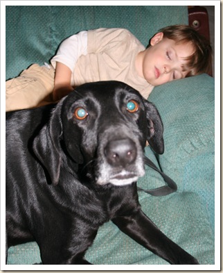 new_babysitter