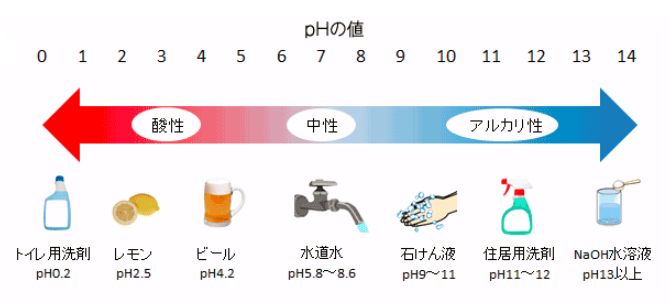 ミナミ沼エビ変死体と弔いの早咲きコスモスと最適phバランス はじめてのメダカ