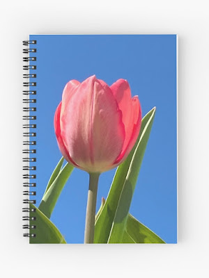 Cuaderno tulipán rosa