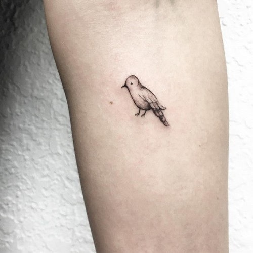 este_perfeitamente_passarinho_tatuagem