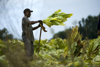 tobacco settlements