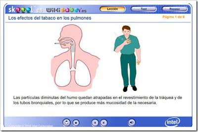 http://www.skoool.es/content/los/biology/smoke_lungs/index.html